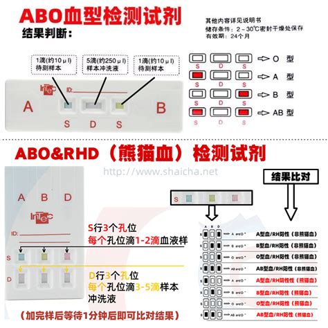 血型查詢+-|血型